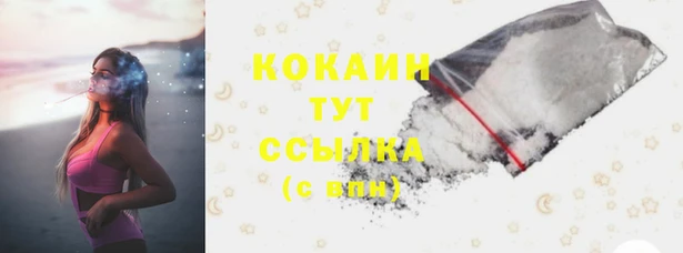 соль ск Алзамай