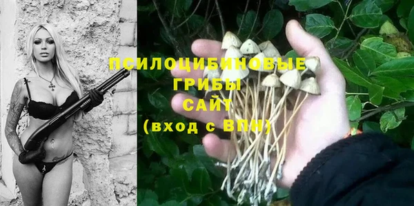 Альфа ПВП Алексин