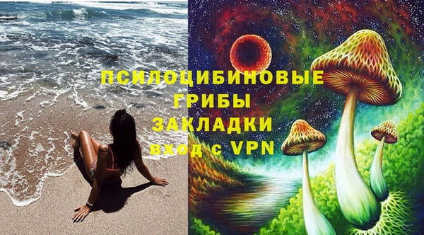 соль ск Алзамай