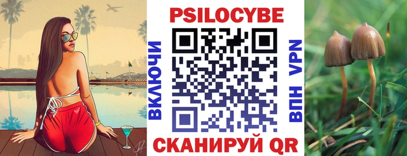 как найти закладки  Приморск  blacksprut ТОР  Псилоцибиновые грибы прущие грибы 